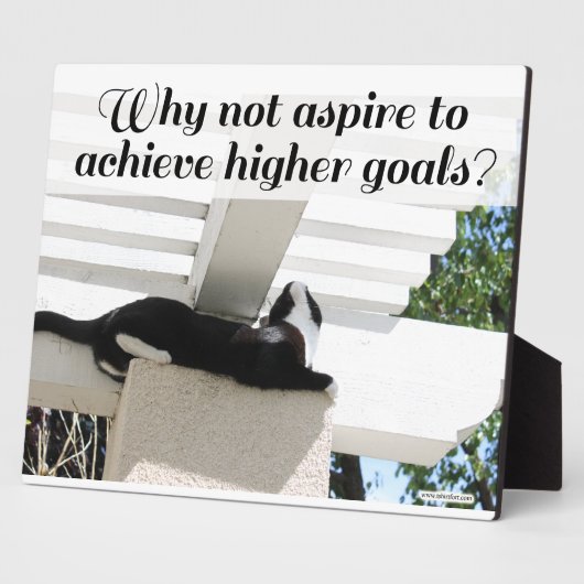 Aspire to Higher Goals Motivierend Cat Fotoplatte (Seite)