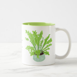 Asplenium Bird's Nestfarn - zeichnend auf Weiß.  Zweifarbige Tasse