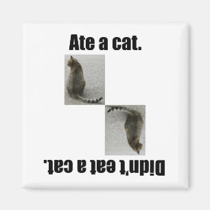 Aß eine Katze Magnet