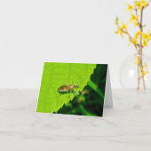 Assassin-Fehler in der Garb-Karte des Gefängnisses Karte (Gelbe Blume)