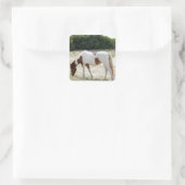 Assatea Island Pferd Quadratischer Aufkleber (Tasche)
