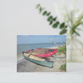 Assateague Canoes Postkarte (Stehend Vorderseite)