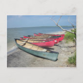 Assateague Canoes Postkarte (Vorderseite)