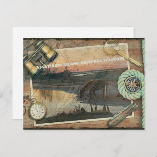 Assateague/Chincoteague Postcard Postkarte (Vorne/Hinten)