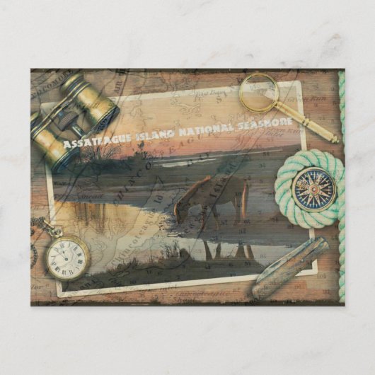 Assateague/Chincoteague Postcard Postkarte (Vorderseite)