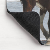 Assateague Insel-Pony Mousepad (Ecke)