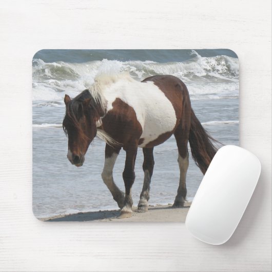 Assateague Insel-Pony Mousepad (Mit Mouse)