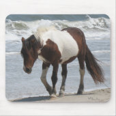 Assateague Insel-Pony Mousepad (Vorne)