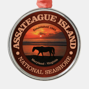 Assateague Insel-Staatsangehörig-Küste Ornament Aus Metall