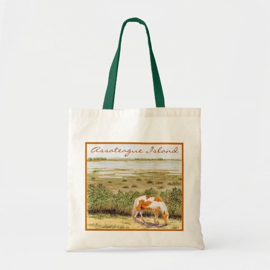 Assateague Isalnd wildes Pferd Tragetasche (Vorne)