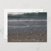 Assateague Island Beach Postcard Postkarte (Vorne/Hinten)