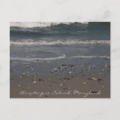 Assateague Island Beach Postcard Postkarte (Vorderseite)