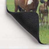 Assateague Island Horses Mousepad (Ecke)