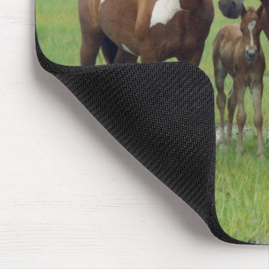 Assateague Island Horses Mousepad (Ecke)