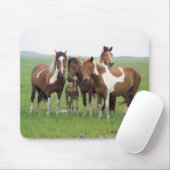 Assateague Island Horses Mousepad (Mit Mouse)