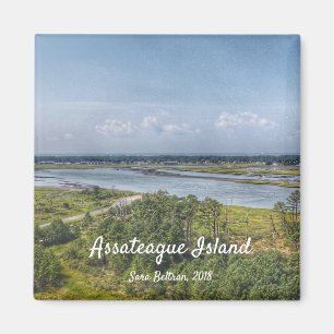 Assateague Island Magnet