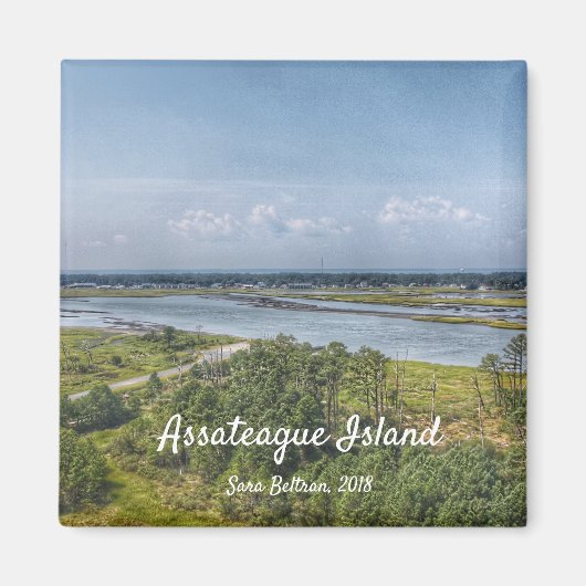Assateague Island Magnet (Vorne)