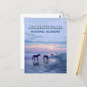Assateague Island National Seashore Pferde Vintage Postkarte