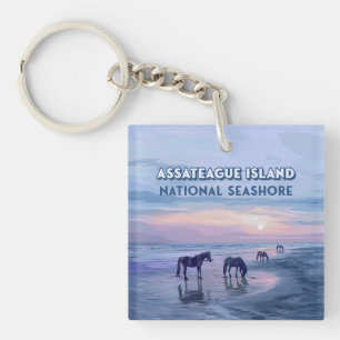 Assateague Island National Seashore Pferde Vintage Schlüsselanhänger