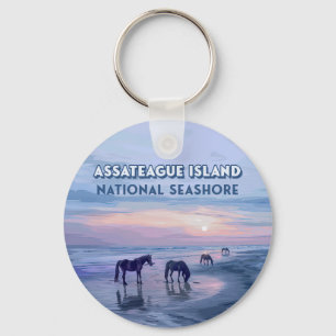 Assateague Island National Seashore Pferde Vintage Schlüsselanhänger