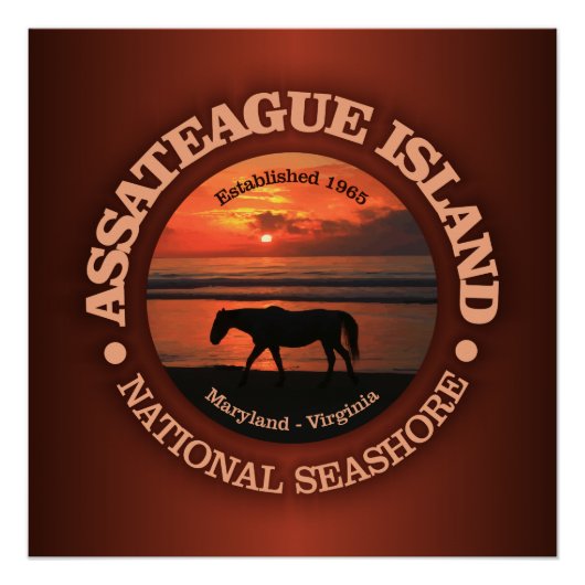 Assateague Island National Seashore Poster (Vorderseite)