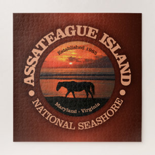 Assateague Island National Seashore Puzzle