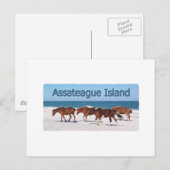 Assateague Island (Ponys auf Beachlogo) Postkarte (Vorne/Hinten)