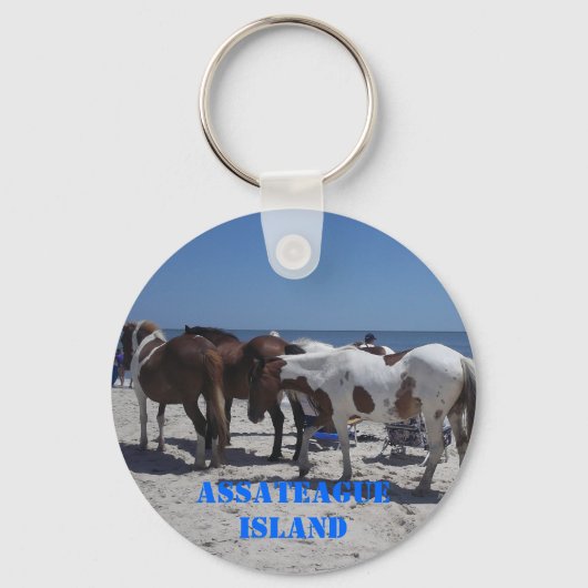 Assateague Island Ponys Schlüsselanhänger (Vorderseite)