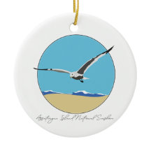 Assateague Island Sea Gull over Beach