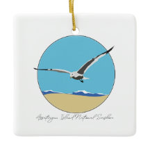 Assateague Island Sea Gull over Beach