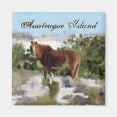 Assateague Island Wild Horse Magnet (Vorne)