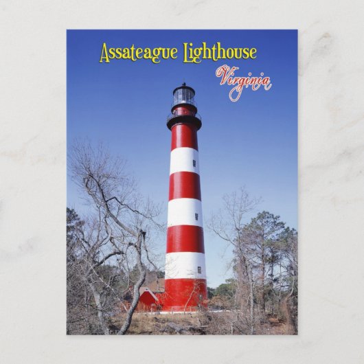 Assateague Lighthouse, Virginia Postkarte (Vorderseite)