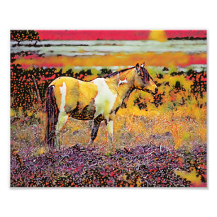 Assateague oder Chincoteague Ponys Fotodruck