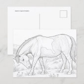 Assateague-Pferd Postkarte (Vorne/Hinten)