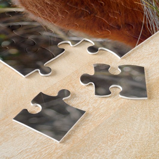 Assateague Pinto Mare Macky Puzzle (Seite)