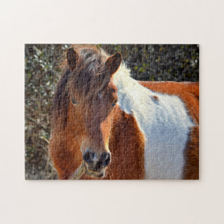 Assateague Pinto Mare Macky Puzzle