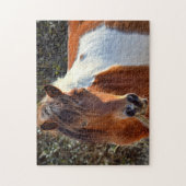 Assateague Pinto Mare Macky Puzzle (Vertikal)