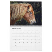 Assateague Pony Kalender (Feb 2027)