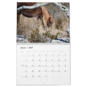 Assateague Pony Kalender (Mär 2027)