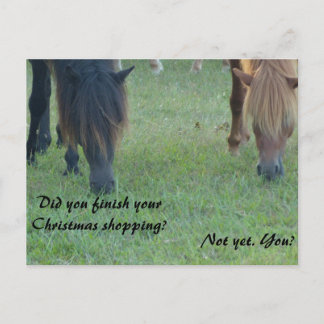 Assateague Ponys Weihnachtskarten und -Briefmarken Feiertagspostkarte