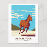 Assateague Staat Park Maryland Abzeichen