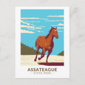 Assateague Staat Park Maryland Abzeichen Postkarte (Vorderseite)