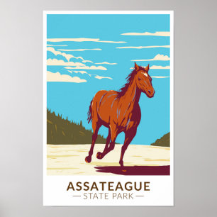 Assateague Staat Park Maryland  Poster