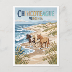 Assateague Strand Chincoteague Virginia Postkarte