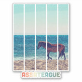 Assateague Wild Horse Beach Sticker (Vorderseite)