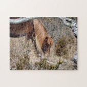 Assateague Wild Horse Jigwaw Puzzle (Horizontal)