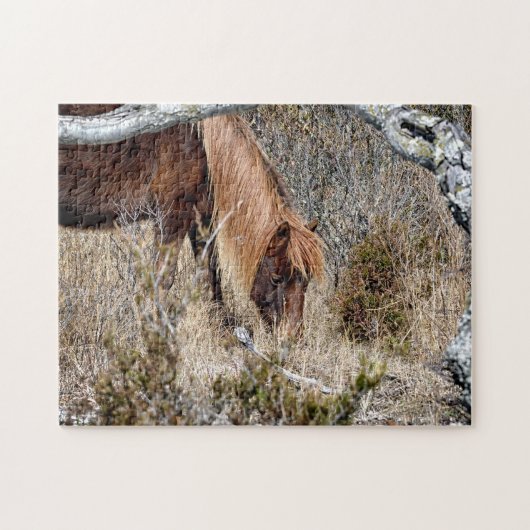 Assateague Wild Horse Jigwaw Puzzle (Horizontal)