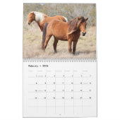 Assateague Wild Horses Calendar Kalender (Feb 2026)