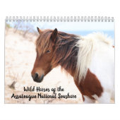 Assateague Wild Horses Calendar Kalender (Titelbild)