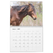 Assateague Wild Horses Calendar Kalender (Mär 2027)